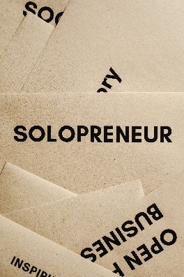 The Solo Entrepreneur Guide